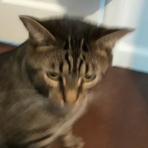 Meet your Posher, Maria